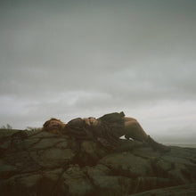 Load image into Gallery viewer, Bella White - A Sign in the Weather