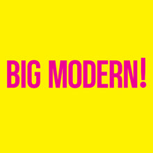 Load image into Gallery viewer, Goose - Big Modern! [2LP