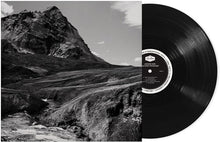 Load image into Gallery viewer, Andrew Bird - Outside Problems