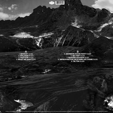 Load image into Gallery viewer, Andrew Bird - Outside Problems