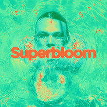 Load image into Gallery viewer, Ashton Irwin - Superbloom