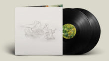 Load image into Gallery viewer, Big Thief - Dragon New Warm Mountain I Believe in You [2LP]
