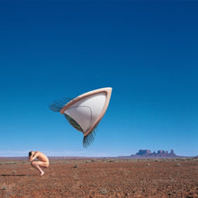 Load image into Gallery viewer, Cranberries, The - Bury the Hatchet: The Complete Sessions [2LP]
