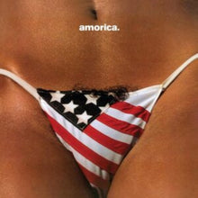 Load image into Gallery viewer, Black Crowes, The - Amorica: Expanded Edition [2LP/ 180G/ Remastered/ 3 B-Sides]
