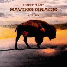 Load image into Gallery viewer, Robert Plant - Saving Grace [Indie Exclusive Fruit Punch Vinyl]
