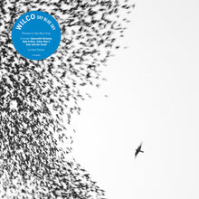 Load image into Gallery viewer, Wilco - Sky Blue Sky [2LP/ Ltd Ed Sky Blue Vinyl]
