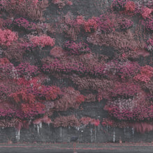 Load image into Gallery viewer, Sleep Token - Even In Arcadia [2LP]
