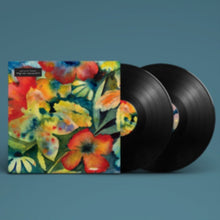 Load image into Gallery viewer, Adrianne Lenker (Big Thief) - Songs and Instrumentals [2LP]

