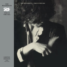 Load image into Gallery viewer, Waterboys, The - This is the Sea [180G/ Ltd Ed Clear Vinyl]
