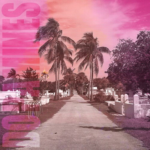 Dopamines, The - 80/20