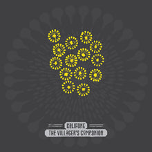 Load image into Gallery viewer, Califone - The Villager's Companion [Ltd Ed Firework Shimmer Vinyl/ Hand Numbered Pressing of 500/ Indie Exclusive]
