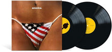 Load image into Gallery viewer, Black Crowes, The - Amorica: Expanded Edition [2LP/ 180G/ Remastered/ 3 B-Sides]
