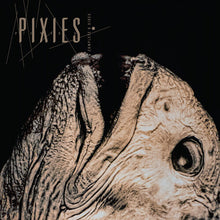 Load image into Gallery viewer, Pixies - Complete B Sides: 1988 -1997 [2LP/ Indie Exclusive Clear Vinyl]
