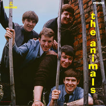 Load image into Gallery viewer, Animals, The - The Animals: 60th Anniversary Edition [Ltd Ed Transparent Yellow Vinyl]
