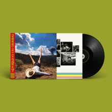 Load image into Gallery viewer, Geese - 3D Country [Black Vinyl]
