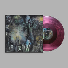 Load image into Gallery viewer, Dinosaur Jr. - There Near [Black or Ltd Ed Pink Clear Vinyl]
