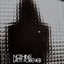 Load image into Gallery viewer, Teenage Fanclub - Nothing Lasts Forever [Ltd Ed Half Silver Half Black Vinyl]
