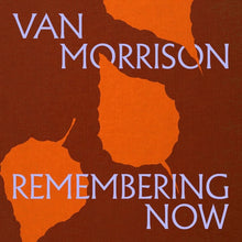 Load image into Gallery viewer, Van Morrison - Remembering Now [2LP]
