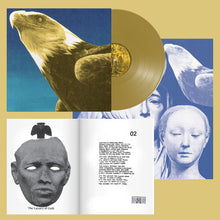Load image into Gallery viewer, Protomartyr - Hotel Usona [Ltd Ed Gold Vinyl]
