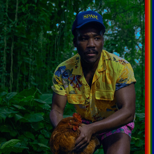 Childish Gambino - Bando Stone and the New World [2LP/ Gatefold Jacket]