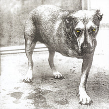 Load image into Gallery viewer, Alice in Chains - Alice in Chains (3-Legged Dog): 30th Anniversary Edition [2LP/ Ltd Ed Highlighter Yellow Vinyl]
