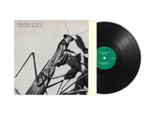 Load image into Gallery viewer, Courtney Barnett - Creature of Habit [Black or Indie Exclusive Caramel Vinyl]
