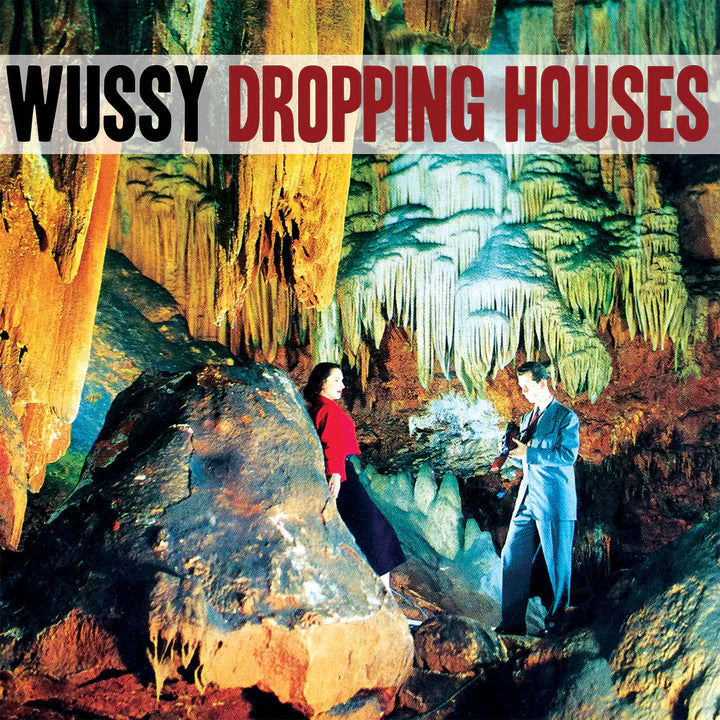 Wussy - Dropping Houses [7