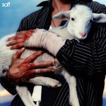 Load image into Gallery viewer, LANY - Soft [Ltd Ed Maroon Vinyl/ Poster]
