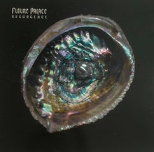 Load image into Gallery viewer, Future Palace - Resurgence [Ltd Ed Deep Blue Eco-Mix Vinyl]

