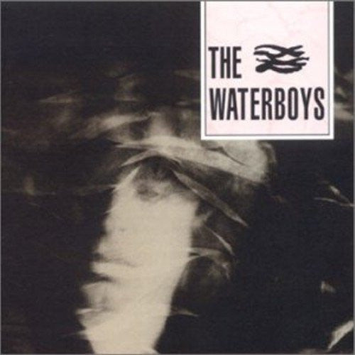 Waterboys, The - The Waterboys [180G/Remastered]