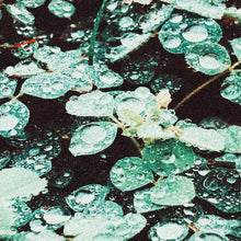 Load image into Gallery viewer, Sadness - Rain Chamber [Ltd Ed Colored Vinyl]
