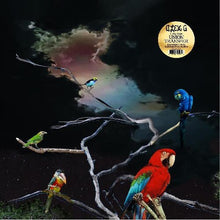 Load image into Gallery viewer, Alex G - Live From Union Transfer [Ltd Ed Tangerine Vinyl/ Indie Exclusive/ Hand Numbered]
