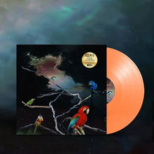 Load image into Gallery viewer, Alex G - Live From Union Transfer [Ltd Ed Tangerine Vinyl/ Indie Exclusive/ Hand Numbered]
