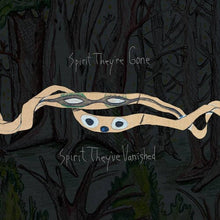 Load image into Gallery viewer, Animal Collective - Spirit They're Gone, Spirit They've Vanished: Remastered [2LP/ Ltd Ed Grass Green Vinyl/ Indie Exclusive]
