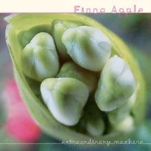 Load image into Gallery viewer, Fiona Apple - Extraordinary Machine [2LP/ 180G]
