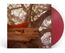 Load image into Gallery viewer, Backseat Lovers, The - Waiting to Spill: Anniversary Edition [180G/ Ltd Ed Translucent Ruby Red Vinyl/ Poster/ Exclusive Photo Book]
