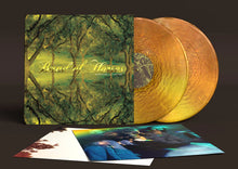 Load image into Gallery viewer, Band of Horses - Everything All the Time: 20th Anniversary Deluxe Edition [2LP/ Ltd Ed Metallic Gold Vinyl/ Bonus Tracks/ First Pressing LOSER Edition]
