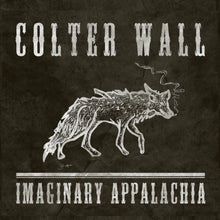 Load image into Gallery viewer, Colter Wall - Imaginary Appalachia [Ltd Ed Red Vinyl/ 45 RPM]
