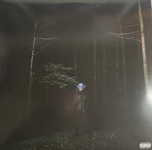 Load image into Gallery viewer, Destroy Lonely - If Looks Could Kill [3LP / Ltd Ed Translucent Purple Vinyl]
