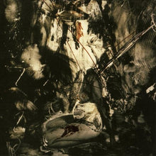 Load image into Gallery viewer, Fields of the Nephilim - Elizium: Expanded Deluxe Edition [2LP/ Ltd Ed Brick Red Vinyl/ Bonus Tracks]
