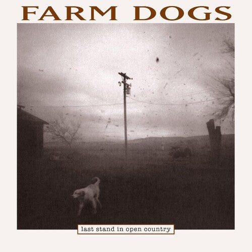 Farm Dogs (Bernie Taupin) - Last Stand in Open Country [2LP/ 45 RPM] (RSD 2024)