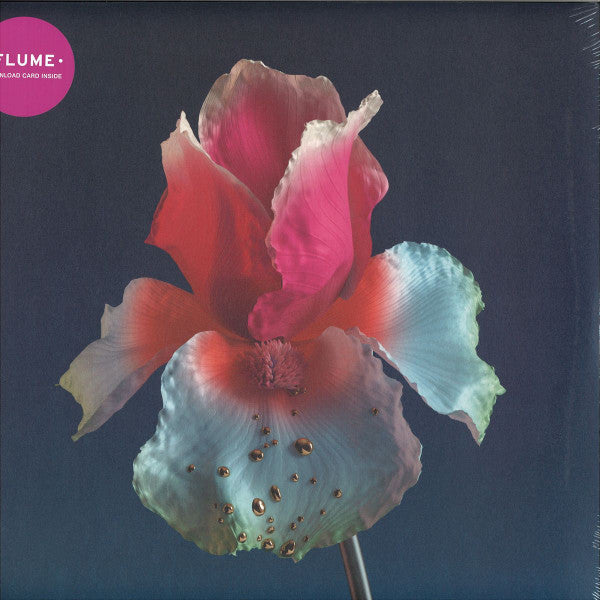 Flume - Twin Cities (feat. Beck) b/w Take a Chance [12