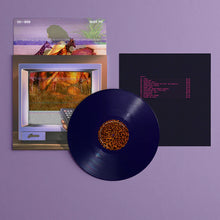 Load image into Gallery viewer, Fly Anakin - Skinemaxxx [Ltd Ed Navy Blue Vinyl/ Die-Cut Sleeve/ Pull-Out Lenticular Insert]
