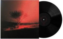 Load image into Gallery viewer, Joji - Piss in the Wind [Black or Indie Exclusive Prism Vinyl/ Poster]
