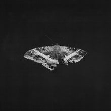 Load image into Gallery viewer, Kendrick Lamar - To Pimp a Butterfly: 10th Anniversary Edition [2LP/ 180G/ Black or Indie Exclusive Metallic Blends Vinyl/ Alternate Cover]
