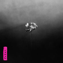 Load image into Gallery viewer, Little Simz - Lotus [180G/ 2LP/ Black Vinyl or Indie Exclusive "Electric Pink" Vinyl/ Gatefold Jacket]

