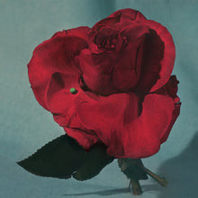 Load image into Gallery viewer, METZ - Up on Gravity Hill [Ltd Ed Clear with Red Vinyl/ Embossed Cover/ LOSER Edition]
