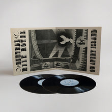 Load image into Gallery viewer, Neutral Milk Hotel - The Collected Works of Neutral Milk Hotel [9LP/ Boxed Set]
