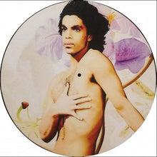 Load image into Gallery viewer, Turntable Slip Mat - Various Artists
