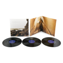 Load image into Gallery viewer, Polygon Window (Aphex Twin) - Surfing on Sine Waves: Expanded Edition [3LP/ Gatefold Jacket]

